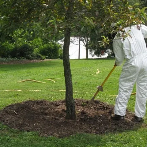 thumbnail for publication: Soil Compaction in the Urban Landscape